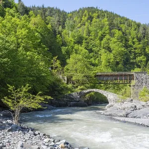 River flows under a car and stone bridge amidst green forests