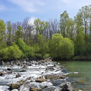 Río con agua corriente y árboles y piedras circundantes. Río con agua corriente y árboles y piedras circundantes.