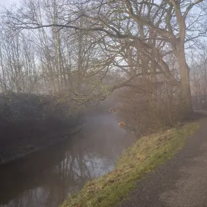 River slowly flowing through a misty winter forest with a winding path