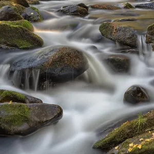 River Vydra, moss covered stones