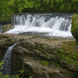 River waterfall with moss-covered rocks in a green forest River waterfall with moss-covered rocks in a green forest