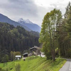 Road with farm, forest and mountains in the Stubai Valley between Telfes and Mieders