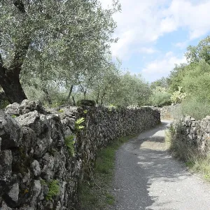 Road, farm road, wall, stone wall