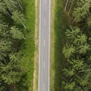 Road through forest, aerial view Road through forest, aerial view
