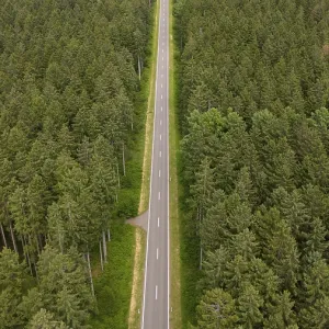 Road through forest, aerial view Road through forest, aerial view