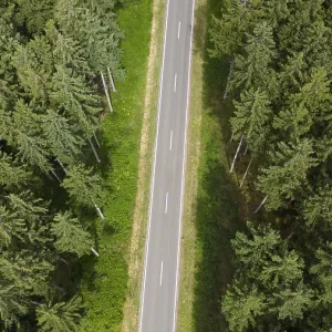 Road through forest, aerial view Road through forest, aerial view