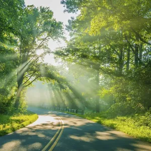 Route traversant une forêt avec des rayons de lumière et des rayons du soleil à travers les arbres verts. Route traversant une forêt avec des rayons de lumière et des rayons du soleil à travers les arbres verts.
