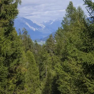 Road in the forest with a view of the Karwendel North Range