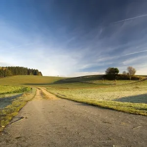 Road into a landscape of fields and woods