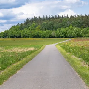 Road through meadow, field and forest in spring Road through meadow, field and forest in spring