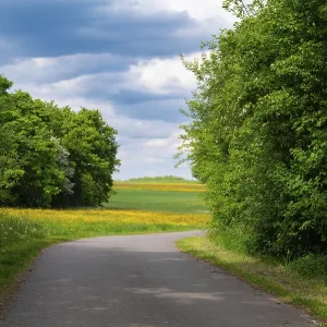 Road through meadow, field and forest in spring Road through meadow, field and forest in spring