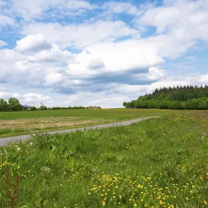 Road through meadow, field and forest in spring Road through meadow, field and forest in spring