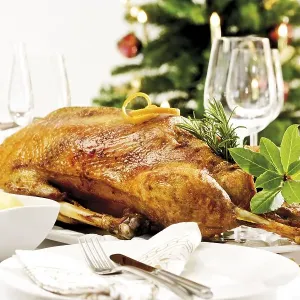 Roast goose, dumplings on a festively decorated table