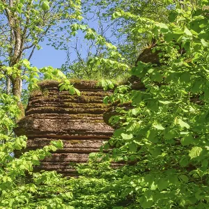 Rock Face in a Leafy Forest at Summer Print Rock Face in a Leafy Forest at Summer Print