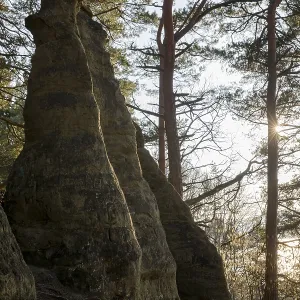Rock formation in the forest illuminated by morning light through pine trees Rock formation in the forest illuminated by morning light through pine trees