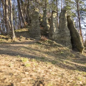 Rock formation in a sparse forest with sunlight Rock formation in a sparse forest with sunlight