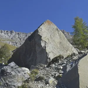 Rock, Latemar, Dolomites, South Tyrol, Italy Rock, Latemar, Dolomites, South Tyrol, Italy