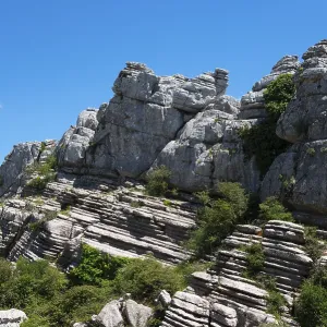 Rock layers and vegetation on a steep rock face under a bright blue sky Rock layers and vegetation on a steep rock face under a bright blue sky