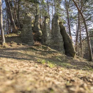 Rock pillars in the forest flooded with sunlight Rock pillars in the forest flooded with sunlight