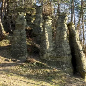 Rock pillars in the forest with summer light accents Rock pillars in the forest with summer light accents