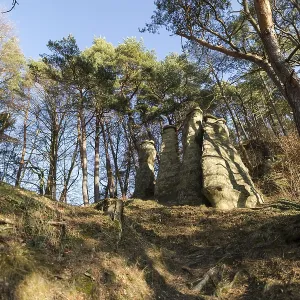 Rock scene in forest with blue sky and sunlight Rock scene in forest with blue sky and sunlight