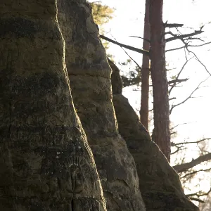 Rock structure in shade with tree trunk Rock structure in shade with tree trunk
