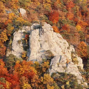 Rocks and autumnal mixed forest in the valley near Duernstein