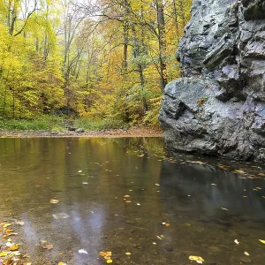 Rote Weisseritz Autumn Print, Rabenau Germany Rote Weisseritz Autumn Print, Rabenau Germany