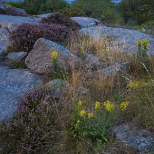 Rocks, coastline at Ramsvik, near Smoegen Rocks, coastline at Ramsvik, near Smoegen