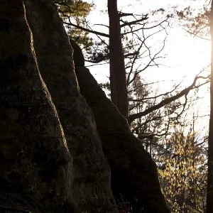 Rocks in shade, sun rays through trees in the background Rocks in shade, sun rays through trees in the background