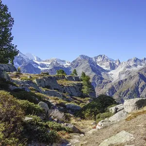 Rocks and trees in front of mountain peaks under blue sky
