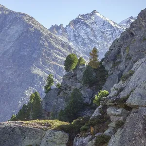 Rocks with trees against rugged mountain peaks under clear sky