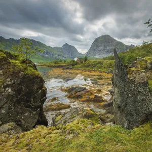 Rocky fjord bay overgrown with moss