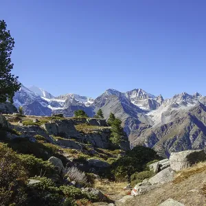 Rocky landscape with trees and mountain peaks under clear sky