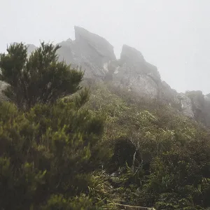 A rocky path leads through a misty mountain landscape with lush vegetation A rocky path leads through a misty mountain landscape with lush vegetation