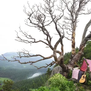 Romantic decoration with guitar on the mountains Romantic decoration with guitar on the mountains