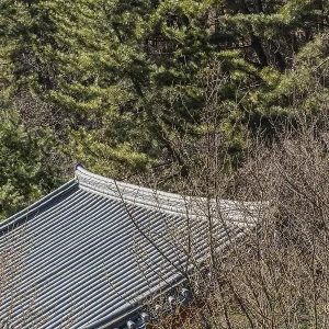 Roof of an oriental building surrounded by trees in local woodland park in South Korea