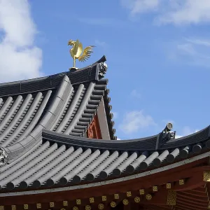 Rooftop, Phoenix Hall, Byodo-in Temple