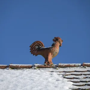 Rooster as a roof rider, blue sky