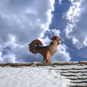 Rooster as a roof rider, cloud sky