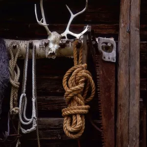 Rope to log cabin, Norway, Europe Rope to log cabin, Norway, Europe