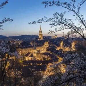Rose Garden, Bern, historic old town Rose Garden, Bern, historic old town