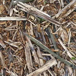Rough pieces of forest pine rotten bark and wood background closeup