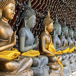Row of Buddha statues, all with yellow robes Row of Buddha statues, all with yellow robes