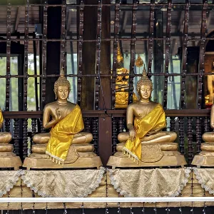 Row of Buddha statues in a temple Row of Buddha statues in a temple