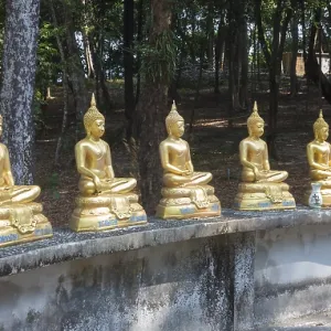 Row of Buddha statues at wat Ko Phayam temple Row of Buddha statues at wat Ko Phayam temple