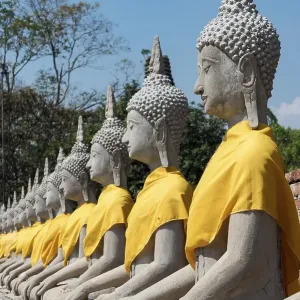 Row of Buddha statues, Wat Yai Chai Mongkhon