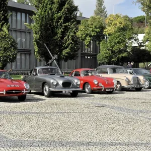 Row of classic cars of various models parked side by side