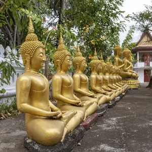 Row of golden Buddha images, Wat That Luang temple Row of golden Buddha images, Wat That Luang temple