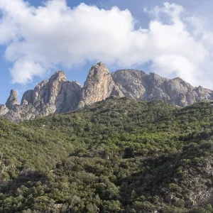 Rango montañoso áspero que se eleva sobre un bosque verde y húmedo bajo un cielo azul con nubes blancas.